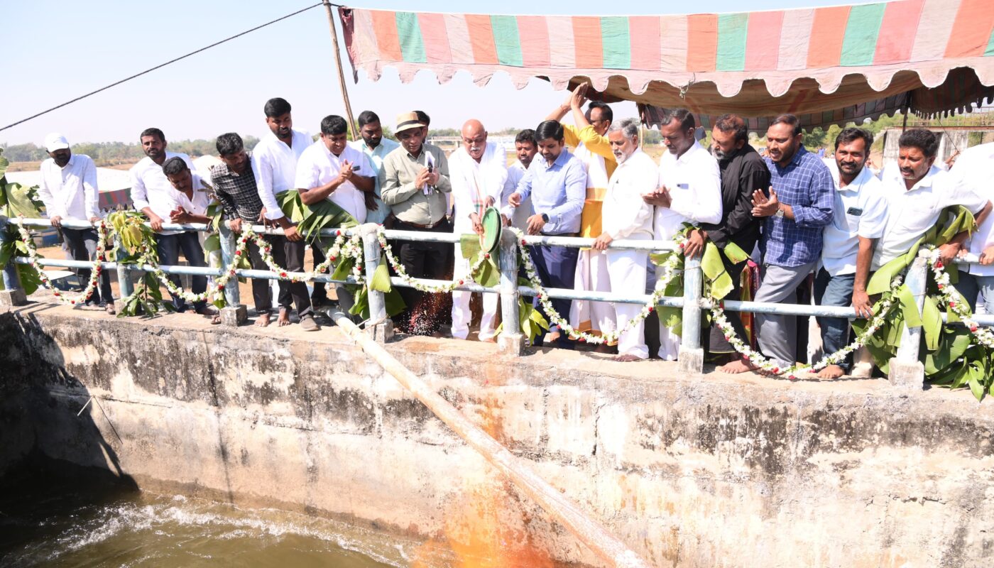 MLA PSR