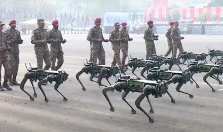 Robo Dogs