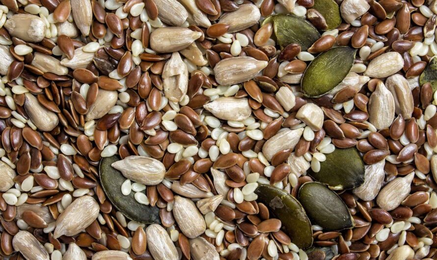 Top Healthy Seeds :ఈ సీడ్స్ తో స్ట్రాంగ్ మజిల్స్ మీ  సాంతం