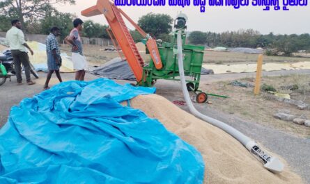 Paddy Cleaner