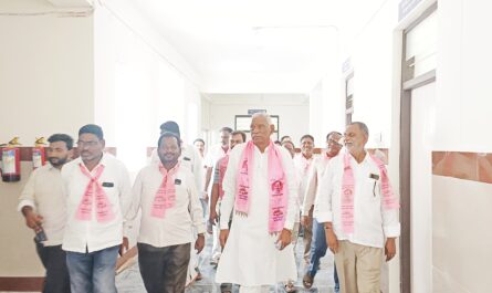 EX MLA