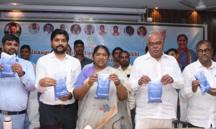 minister seethakka