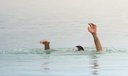 drown in Godavari