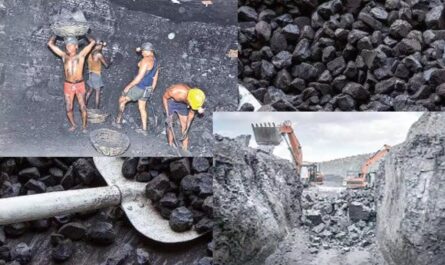 singareni coal mines