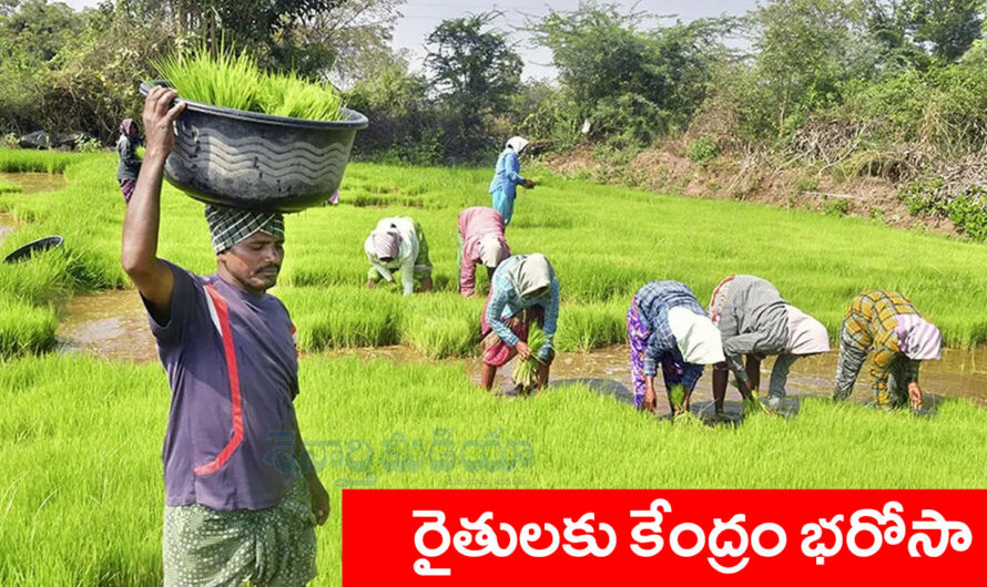 PDDY: రైతులకు కేంద్రం భరోసా