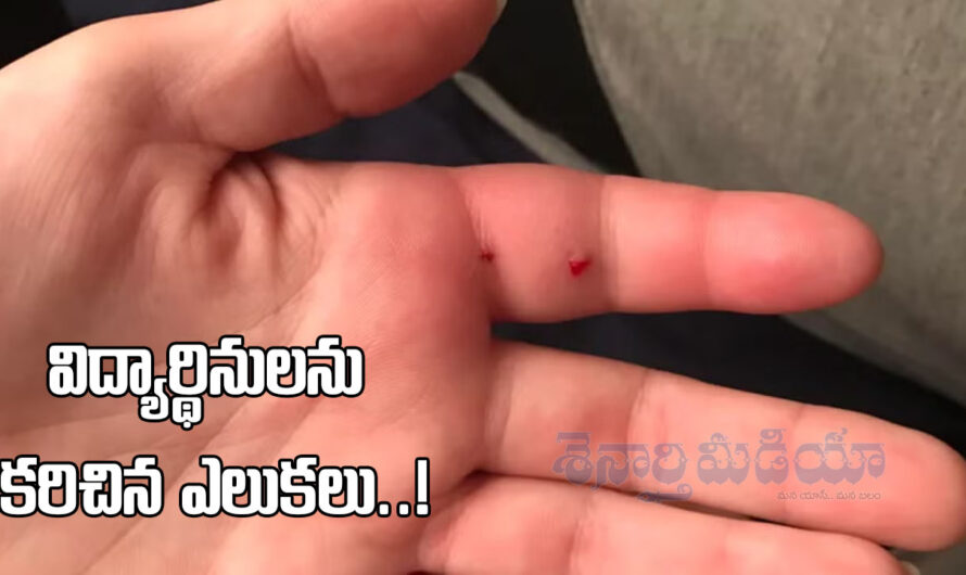 RATS Bite: విద్యార్థినులను కరిచిన ఎలుకలు..!