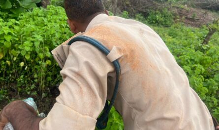 Attacks on Forest officers