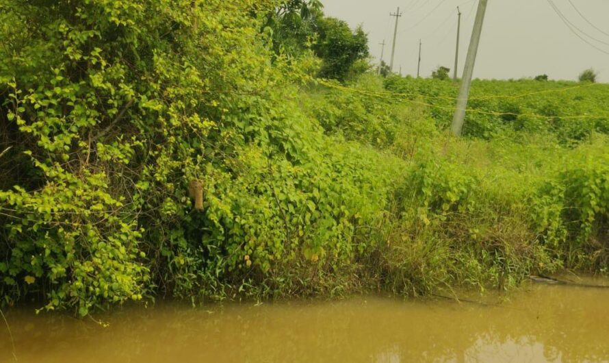 DISTRIBUTION TRANSFORMERS : కమర్షియల్ కనెక్షన్ల మర్మమేమిటో..?