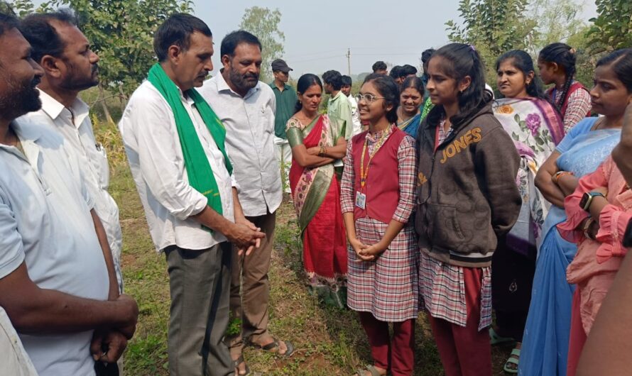 ORGANIC FARMING : ఆరోగ్యకరమైన జీవితానికి సేంద్రియమే మేలు