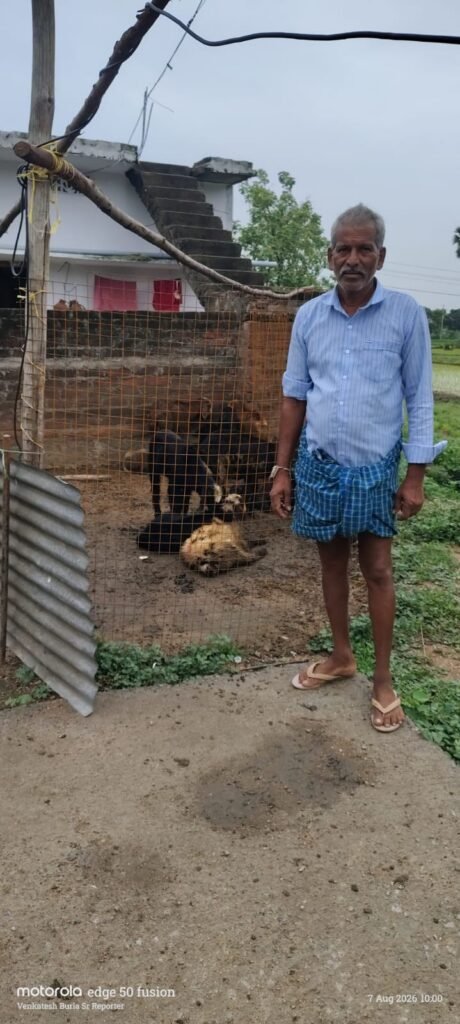 వంకాయగూడెంలో గొర్రెల చోరీ