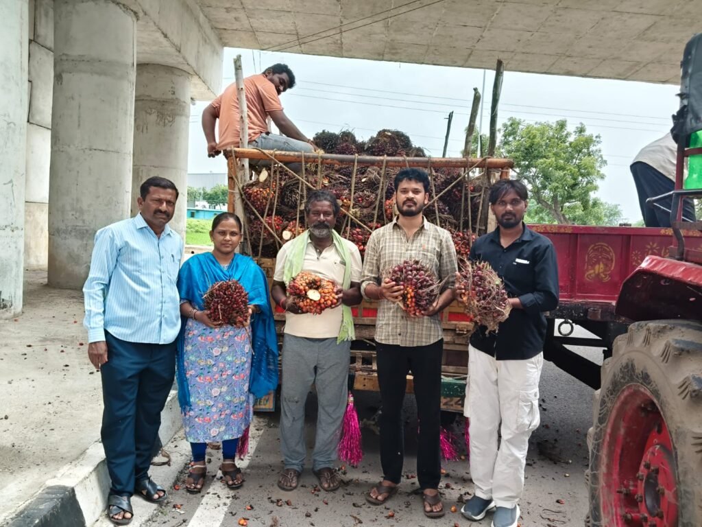 ఆయిల్‌పామ్ సాగుతో అధిక లాభాలు