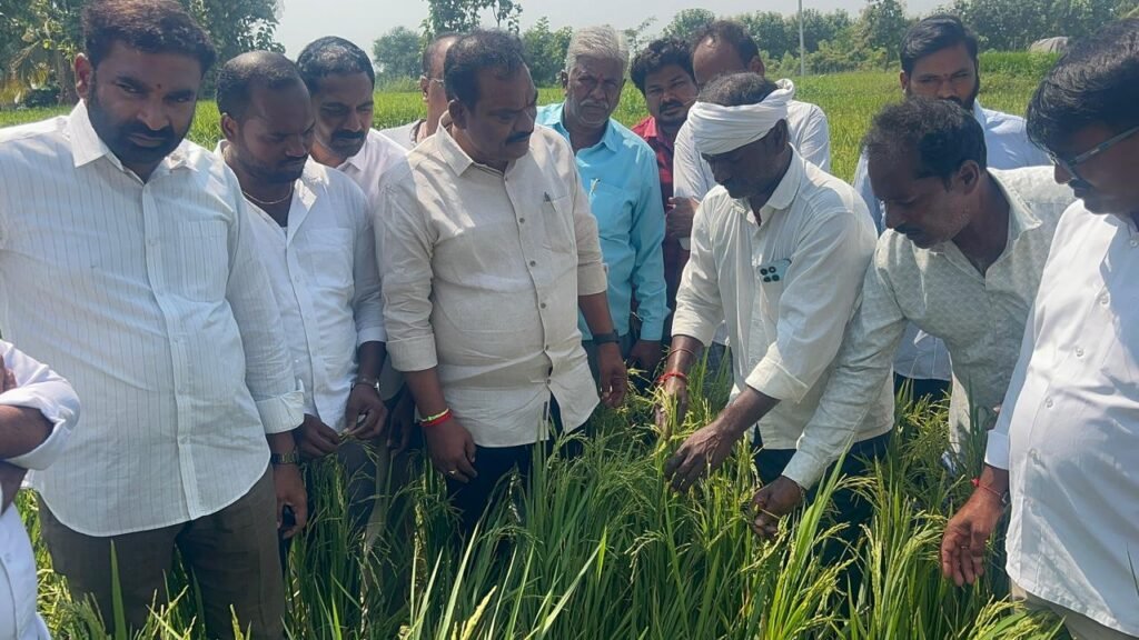 పంటలు ఎండుతున్నా పట్టించుకోరా..?